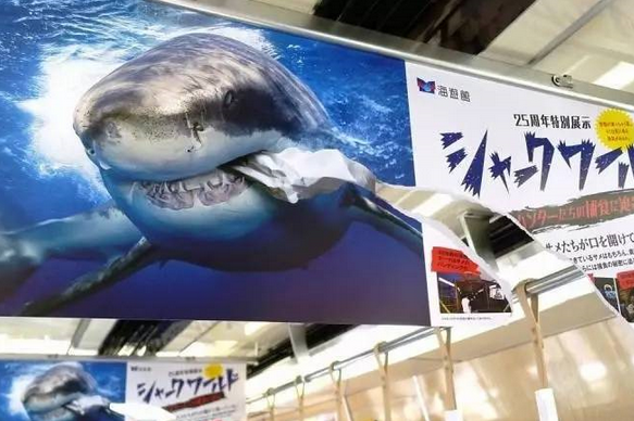 這是一張海報(bào)的正反面。人們很容易被這個(gè)破損的不尋常海報(bào)吸引注意力。