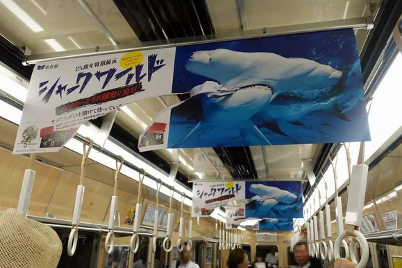 這是一張海報(bào)的正反面。人們很容易被這個(gè)破損的不尋常海報(bào)吸引注意力。