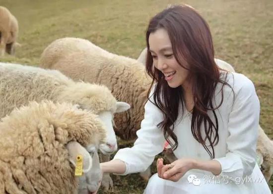 明星旅行糗事一籮筐 總有一個萌到你！