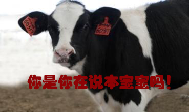 關(guān)我什么事！