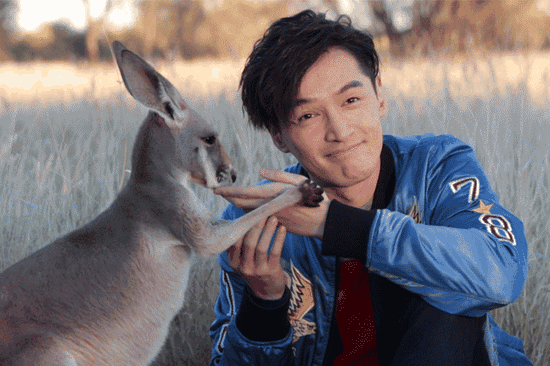 小袋鼠還有親到胡歌喲！