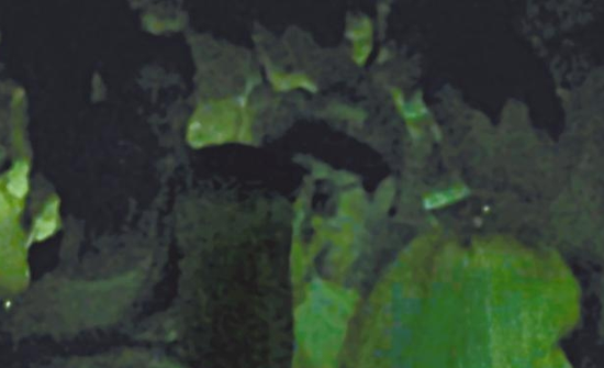 房祖名去年被港媒直擊在中環(huán)夜店與長發(fā)妞互動曖昧，女生正是Nana