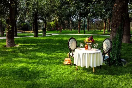 秋陽鴻園，芳草青青