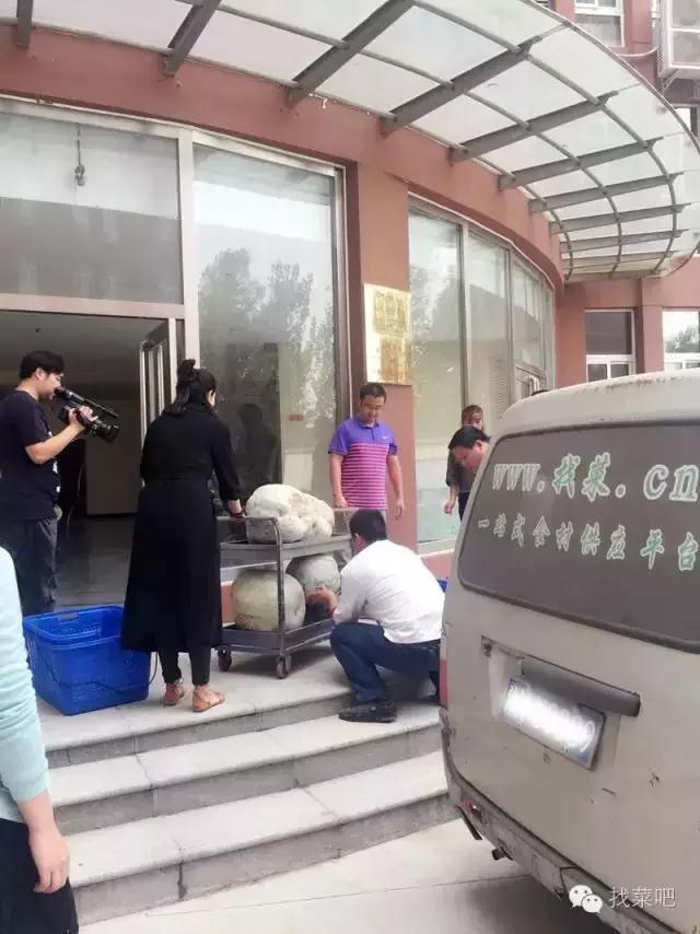 找菜網(wǎng)認(rèn)購(gòu)百萬(wàn)斤冬瓜，解農(nóng)戶燃眉之急