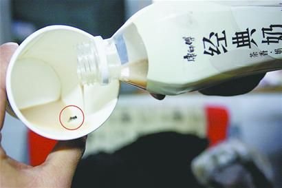 田先生喝的經(jīng)典奶茶中有一只蒼蠅。