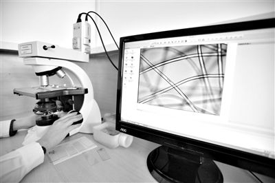 顯微鏡下，聚酯纖維很光亮，表面有斑點，粗細(xì)非常均勻。