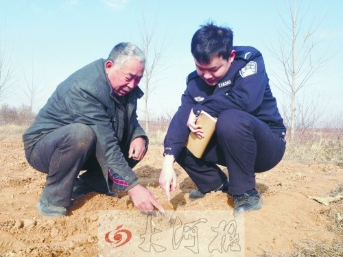 牡丹苗被盜之后，郭萬通又補種的牡丹苗已經(jīng)發(fā)芽