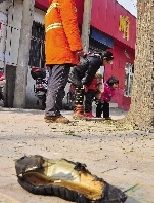 老漢右腿燒傷，樹下扔了一只燒焦的鞋