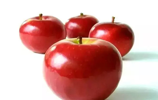 小心有毒！各種蔬果不能吃的部分