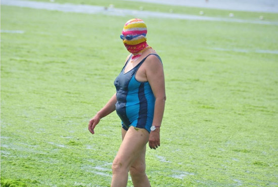 2013年7月3日，山東青島青島高溫來襲，“青島大媽”不懼滸苔，戴著“強盜面具”出現(xiàn)在海水浴場消暑降