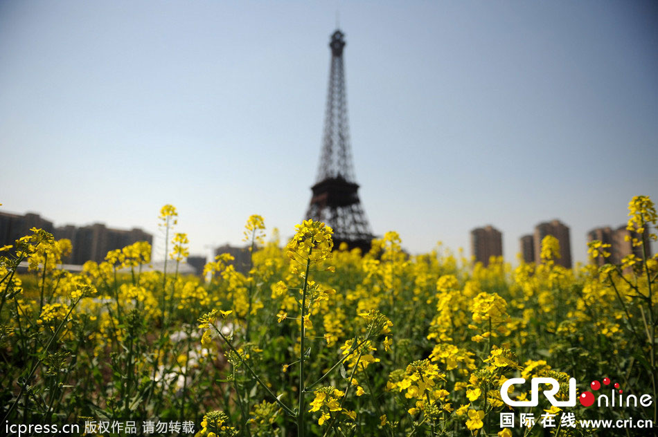 　2014年3月21日，杭州天都城，農(nóng)民在山寨埃菲爾鐵塔下耕作。圖片來源：東方IC