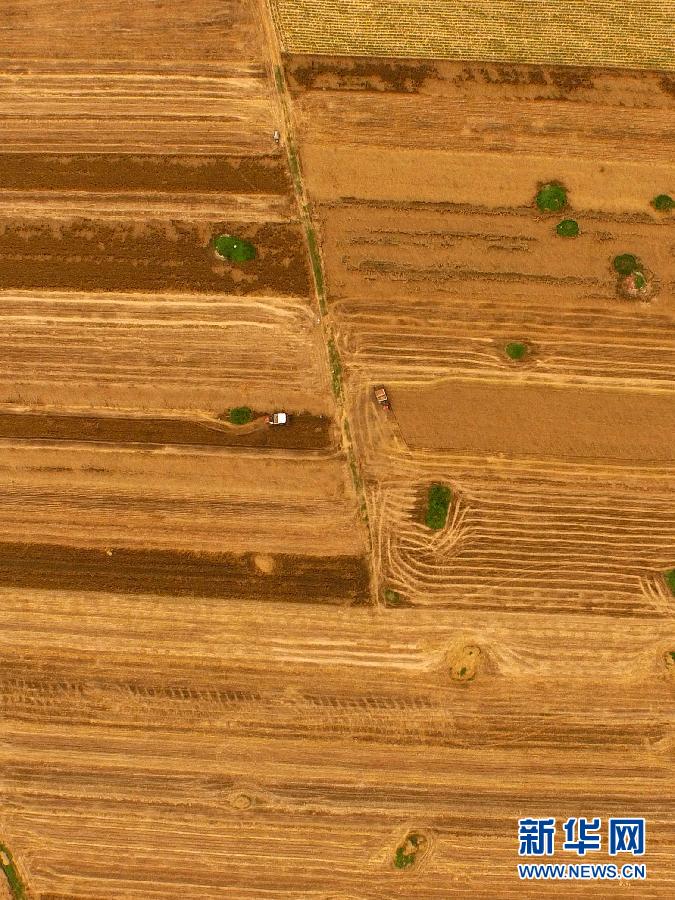 這是5月28日在河南省南陽(yáng)市唐河縣甘河灣村航拍的麥?zhǔn)宅F(xiàn)場(chǎng)。