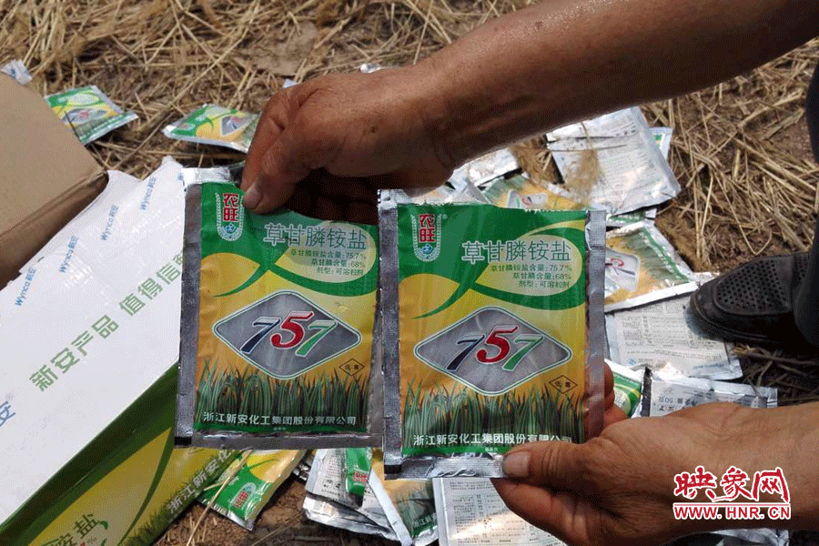 毀掉玉米的農(nóng)藥袋散落在地頭。