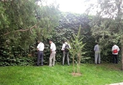 6月30日，頤和園內(nèi)綠地上，多名游客在小解。 網(wǎng)友“攝影老鬼” 攝