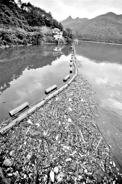 7月7日，廣西賀州市賀江合面獅段被污染的水域。據(jù)新華社