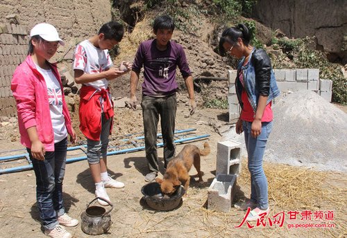 渴壞了的小黃狗在喝水。王生元/攝