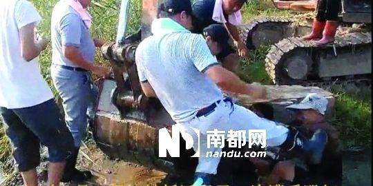 幾名戴黑帽的男子將一名老人推入水塘，后反復腳踹。