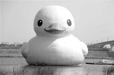 昨日，經(jīng)過(guò)連夜修正，大黃鴨的嘴部已恢復(fù)變寬，和在香港展出時(shí)看起來(lái)一樣。