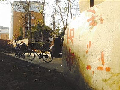 昨日，“上海奇石盆景博物館”原址上，已矗立起小區(qū)樓盤，而刻著博物館名的巨石，廢棄在一旁。本版圖片/新京報記者 張永生 攝