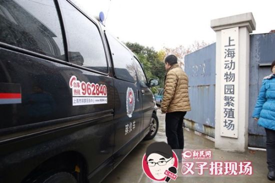 殯葬車(chē)到達(dá)現(xiàn)場(chǎng)。新民網(wǎng) 記者 蕭君瑋 攝