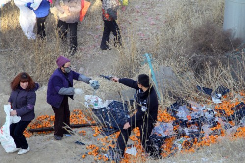蘭州貨車側(cè)翻橘子遭百余村民哄搶，警察拔槍制止
