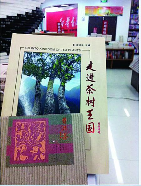 今天上午，記者在普洱市振興大道上的新華書店內(nèi)發(fā)現(xiàn)，沈培平主編的《走進茶樹王國》、《普洱茶連環(huán)畫》兩種書還在售