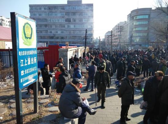 販賣野生鳥的鳥市毗鄰著當地派出所。