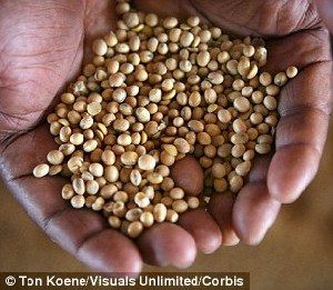 超強(qiáng)厄爾尼諾將引發(fā)全球極端天氣，中國北方或極端高溫-