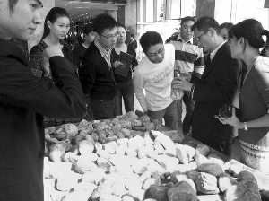 前段時間，夫子廟古玩城舉行的一場賭石活動，吸引了不少人參與