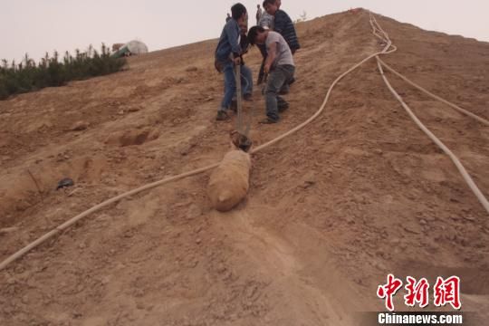 　4月27日上午，當(dāng)?shù)卮迕裨诠系販洗逡痪G化處挖出一枚長(zhǎng)1米，重200斤的炸彈，5月10日，這枚炸彈已