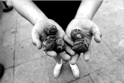 “大煙殼”輕易就可以買(mǎi)到。下圖：女?dāng)傊髂贸霾卦诩t色兜子里的“大煙殼”，向記者兜售。京華時(shí)報(bào)實(shí)習(xí)記者趙思衡攝