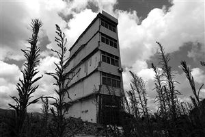 這幢5層的“片片樓”周圍已是一片拆遷后的廢墟，左邊的一堵墻上，不少鋼筋裸露在外面 圖片來(lái)源：新華網(wǎng)