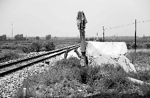 6月30日， 農(nóng)戶用搭建的窩棚和電線桿阻擋了鐵路的施工。新華社發(fā)