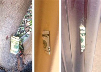 “隱藏的鈔票”會(huì)被神秘人藏在公園、廁所等“奇怪的地方”。