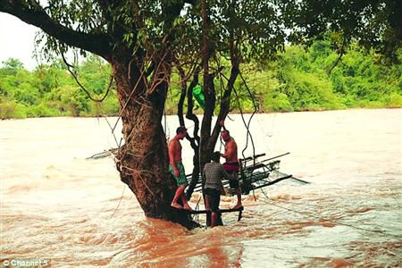蓋屋、種菜，“從沒這樣快樂”