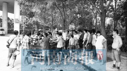 北環(huán)南陽路立交橋下，瓜農(nóng)小秦被打后，附近瓜農(nóng)紛紛圍了上來