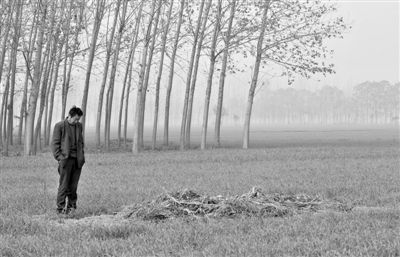 11月21日，高松中站在腦癱雙胞胎兒子墳前。