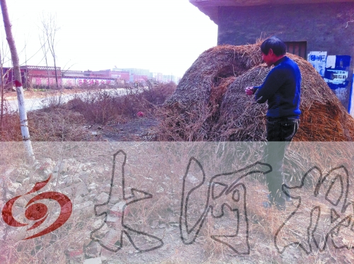 張哥、張弟就是在這兒撿到的投毒面包。