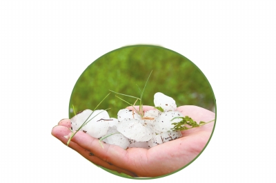 冰雹化了一些,還有這么大。