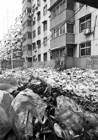 透過擋板縫向內(nèi)看，30多米垃圾已經(jīng)將居民樓包圍。