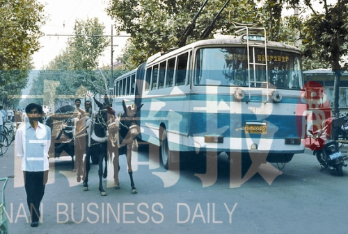 當(dāng)年的伏牛路，驢車和公交車并行