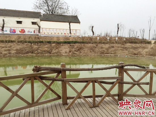 護(hù)欄損毀的地方，已經(jīng)被兩根樹(shù)干擋住。