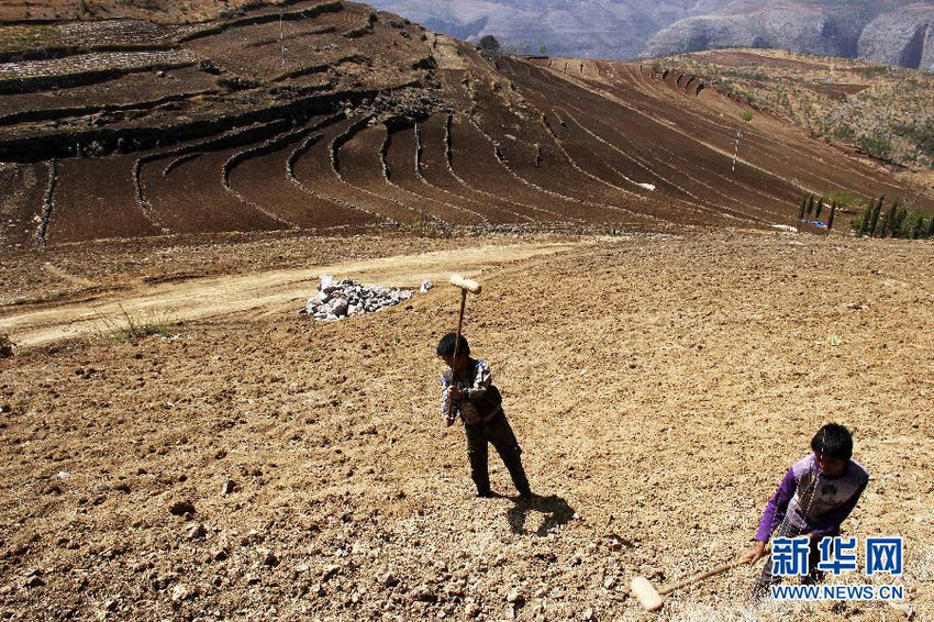 3月16日，在貴州省畢節(jié)市威寧縣斗古鄉(xiāng)中關(guān)村，兩個孩子幫助家人在干旱的土地上勞動。