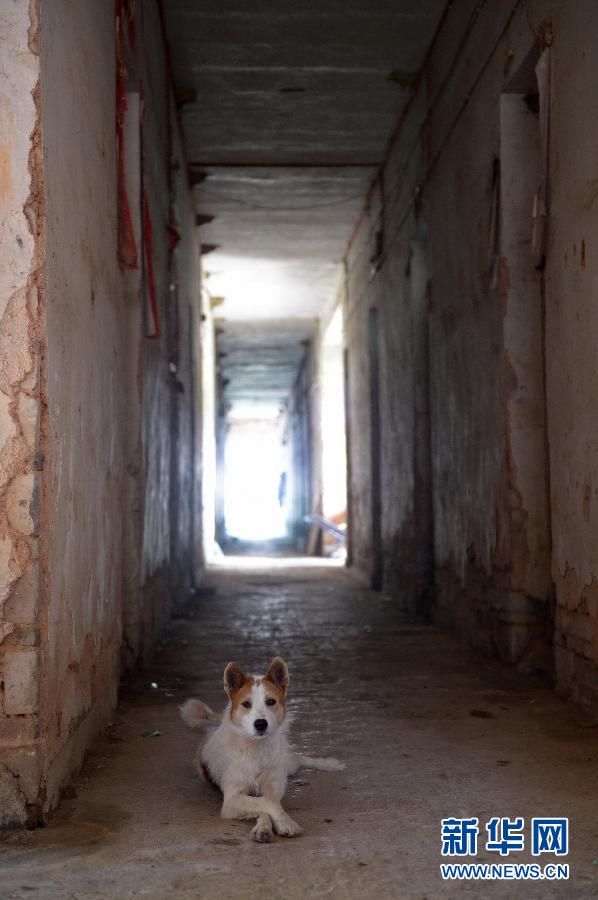 農(nóng)場(chǎng)棚戶區(qū)的最后留守家庭：留下的是回憶，迎來的是幸福