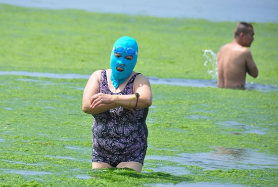 2013年7月3日，山東青島青島高溫來襲，“青島大媽”不懼滸苔，戴著“強(qiáng)盜面具”出現(xiàn)在海水浴場(chǎng)消暑降