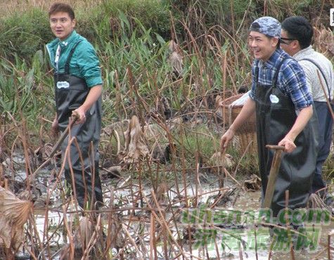 爸爸去哪兒？親密接觸荷花仙子