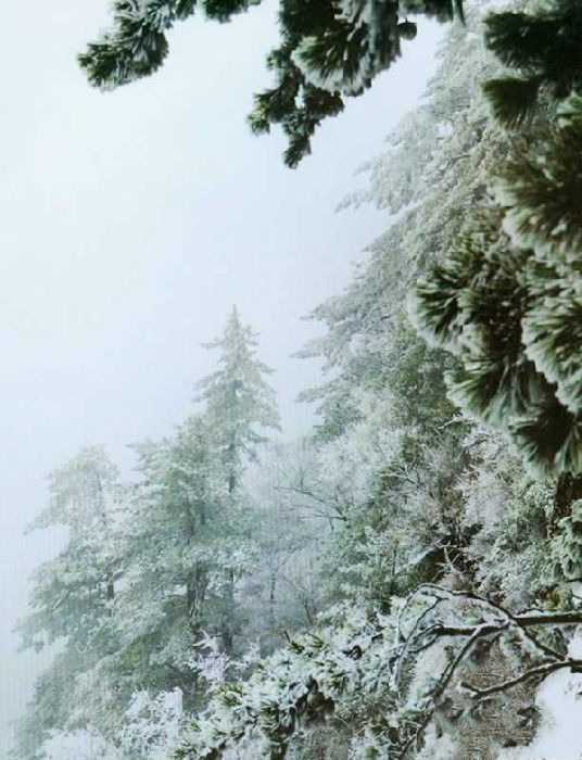 又是霧霾天 省內(nèi)洗肺游線路推薦 又是霧霾天 省內(nèi)洗肺游線路推薦