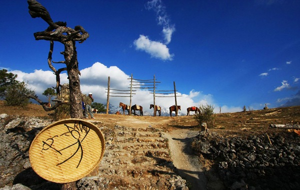 女游客麗江騎馬不給錢遭毆打 女游客麗江騎馬不給錢遭毆打