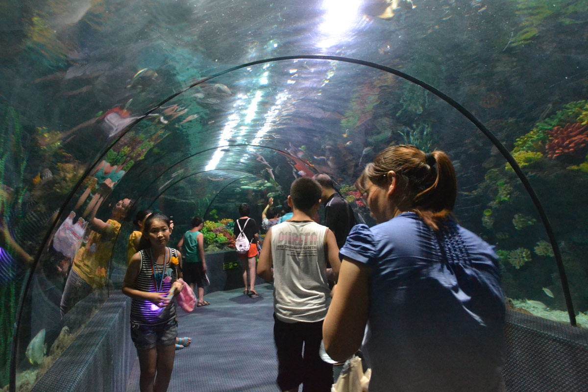 春節(jié)去哪兒？出游地圖告訴您！