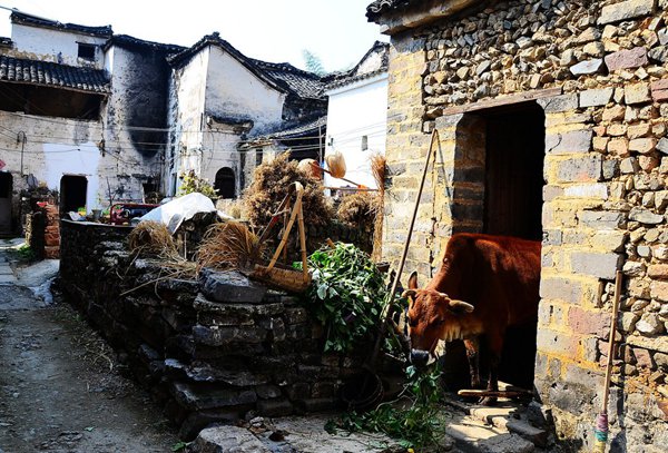 10大古村落，見證鶴壁舊時(shí)光